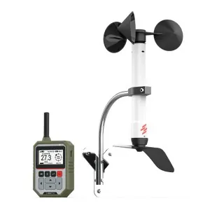 Anemometro de grua